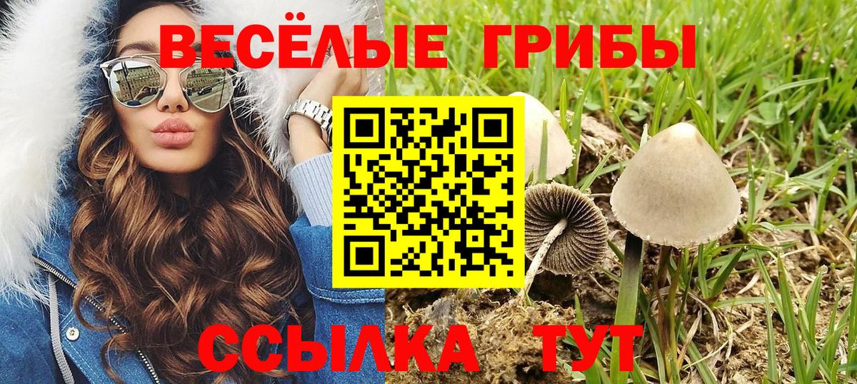 сколько стоит  Псилоцибиновые грибы Psilocybine cubensis  Вход с VPN  Краснокамск 